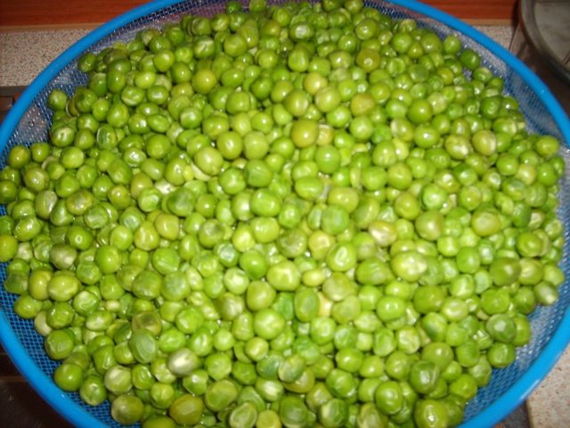 Bu bezelyeler yaz kış o difrizden çıktı. Ağzına kadar dolu olan buzdolabı difrizleri bize yaz kış bezelye, fasulye yedirtti.