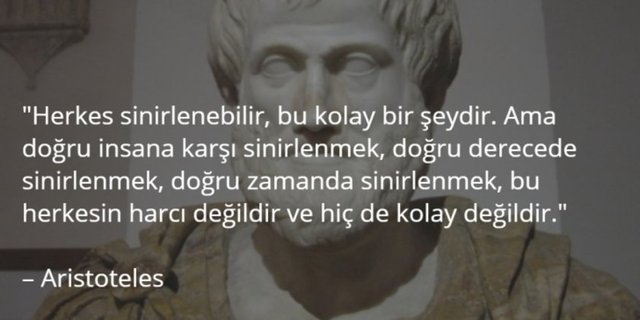 Kimi filozof kimi yazar kimi sanatçı...