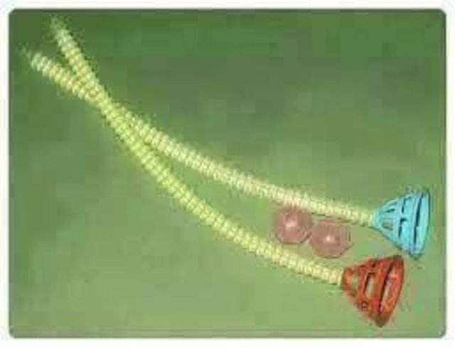 Bununla ciğeri açılan çocuklar vardı... 