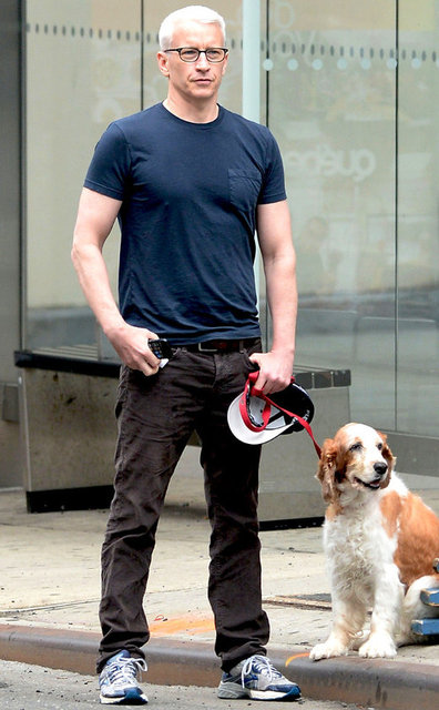 Aynı zamanda Amerikan medyasında açık bir biçimde  homoseksüel  yayıncıları temsil ettiği için Anderson'un kendine has bir  saygınlığı  da var.