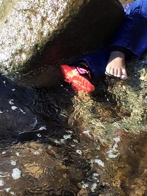 kaybolanlardan olduğu  değerlendirilen Afganistan uyruklu kadın ile 2'si çocuk 7 kişinin daha  cesedi bulunmuştu.