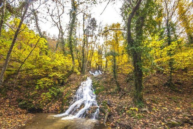 Kaz Dağları'nda sonbahar