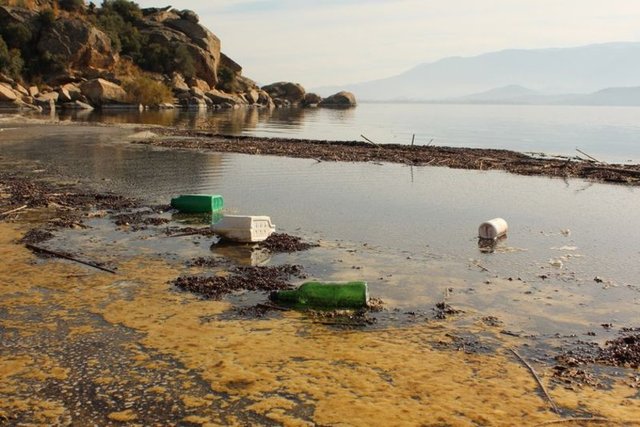 Çıplak mankenle gölün çeşitli bölgelerinde çektiği fotoğrafları internetten paylaşan Çiçek, "Bu fotoğraflar satılık değil. Sosyal sorumluluk projesi olarak gerçekleştirdik...