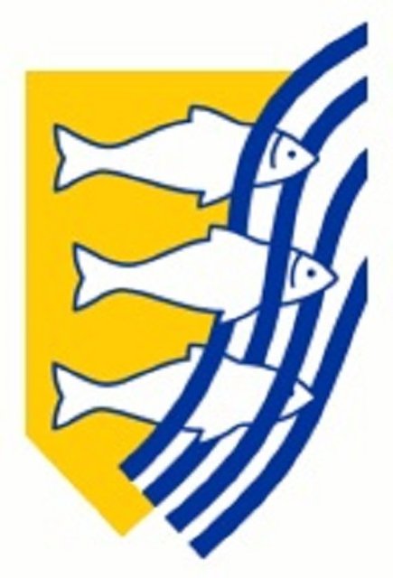 AIVD - Hollanda Gizli Servisi