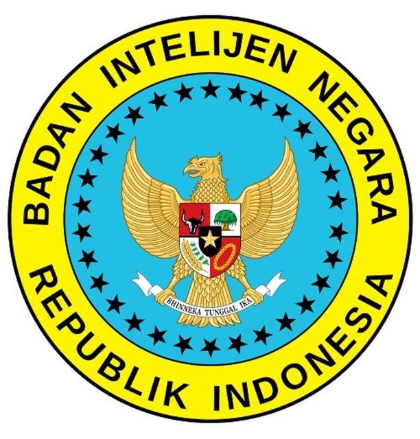 12. BIN - EndonezyaKuruluş Yılı: 1946Yıllık Bütçesi: 492 milyon dolar