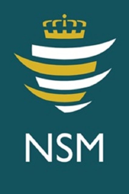 NSM - Norveç Gizli Servisi