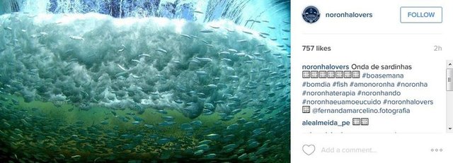 #freshwater #beautiful  #ocean #watertank