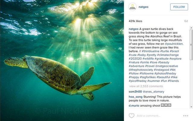 #instasummer #photooftheday  #nature #TFLers #clearsky #bluesky #vacationtime