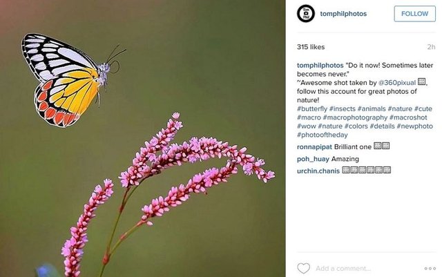 #creatures  #macro_creature_feature #photooftheday #wildlife #nature_shooters  #naturelover #lovenature