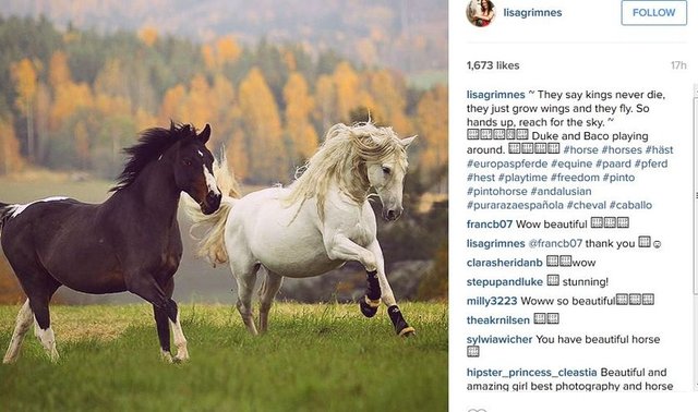 #field #farm #nature #pony  #ponies #ilovemyhorse #babyhorse #beautiful #pretty #photooftheday  #jockey #rider #riders #riding #instahorses #wild #mane #instagood #grass