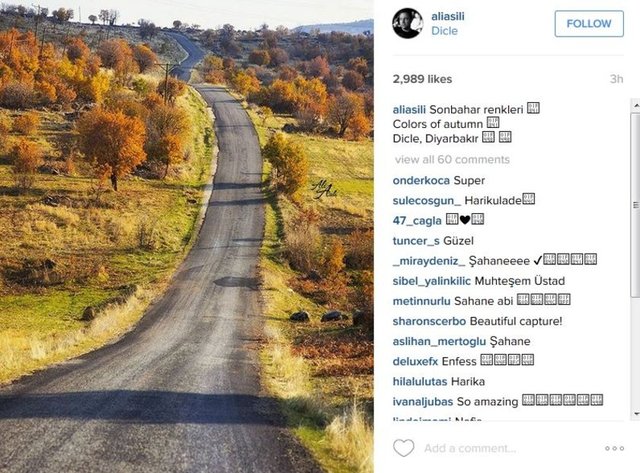 #seasons #instafall #instagood #instaautumn  #photooftheday #leaf  #foliage #colorful #orange #red #autumnweather  #fallweather #nature