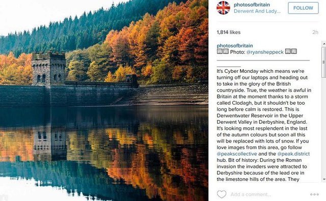 Sonbahar tagleri - #fall #autumn #leaves #ysmphotoblog  #falltime #season