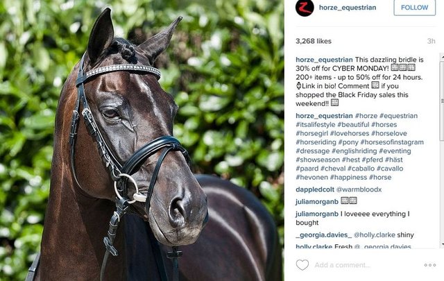 At tagleri - #horses #horse #horsesofinstagram  #ysmphotoblog  #horseshow #horseshoe #horses_of_instagram #horsestagram