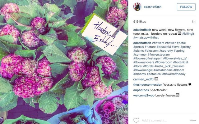 #instagood #springtime #color #ilovespring  #warm #sunny #sun #tree #pretty #ysmphotoblog #trees #flower #bloom  #colorful