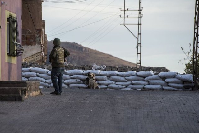 İlçenin teröristlerden temizlenmesi, örgüt mensuplarınca kurulan barikatların kaldırılması, patlayıcı tuzakların imha edilmesi, kazılan hendeklerin kapatılması amacıyla jandarma ve polis ekipleri tarafından sürdürülen operasyonlarda 10'u aşkın teröristin etkisiz hale getirildiği değerlendiriliyor.