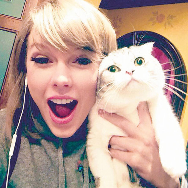 Taylor Swift ve kedisi Meredith beşinciliğe yerleşti.