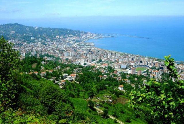 İl: Rizeİlçe: MerkezMahalle: MüftüNüfusu: 10423