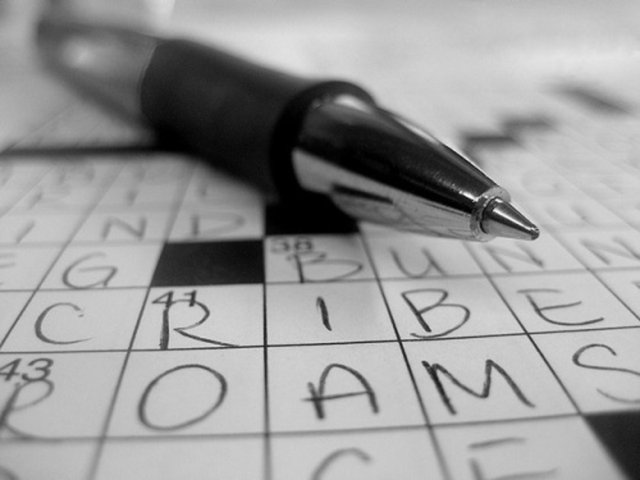 Bulmaca Yazarı - Yıllık 70 bin dolar