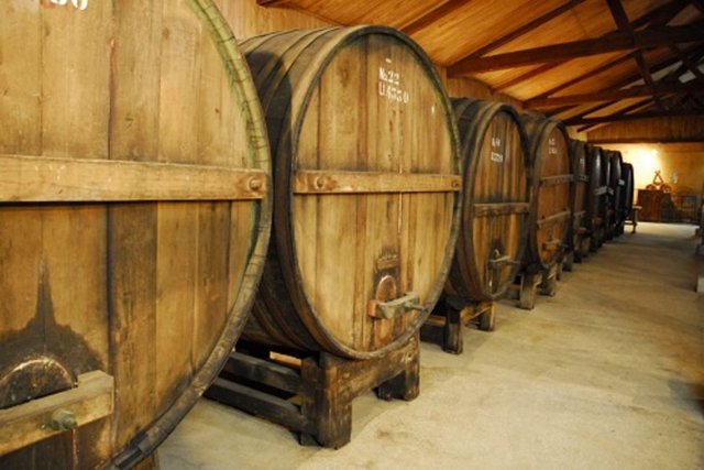 Şarap Gurusu - Yıllık 51 bin dolar