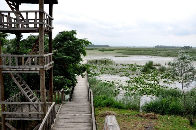 İl: Düzceİlçe: MerkezNüfus: 148.061