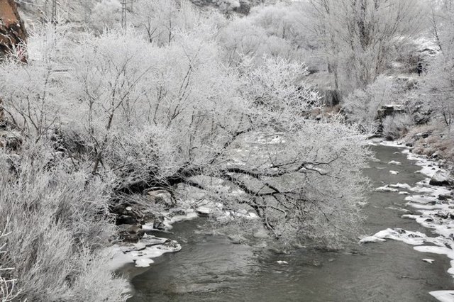 Kar yağışının ardından etkili olan sis ve kırağı Kars'ta kartpostallık görüntüler oluşturdu.