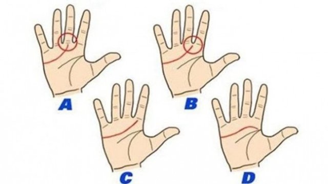 Karar verirken hem sağduyulusunuz hemde mantığınızı kullanıyorsunuz.