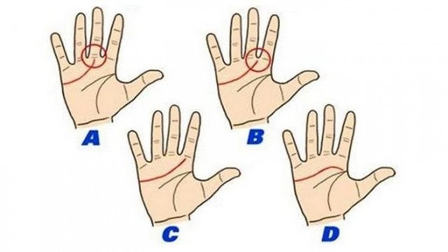 A: Kalp çizginiz orta parmağınızın altından başlıyorsa siz bir lidersiniz.