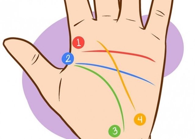 Eğer çizgi parmağınızın tabanından, dibinden başlıyorsa, bu sizin anlayışlı bir insan olduğunuzu gösterir, eğer çizgi daha aşağısından başlıyorsa, -daha çok elinizin ortasından- bu sizin tam bir çalışma heveslisi ve materyalist biri olduğunuzu gösterir, Bu kişiler duygusal açıdan güçlü kimseler olarak bilinir ve genellikle erkeklerde daha fazla görülür.