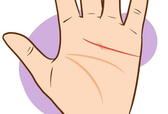 Başkalarına güvenmemenizle birlikte size güvenen insanların fazlasıyla olduğu bir çevreye sahipsiniz.