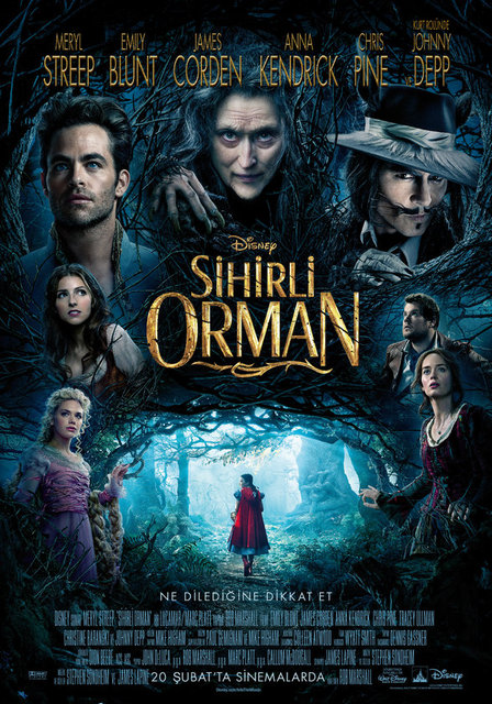 32-Sihirli Orman (Into the Woods) (2014): "Chicago" ve "Nine"ın yaratıcısı Rob Marshall, müzikale el atınca başarısız olması imkansız gibi... Burada 1987'de Broadway'de sahnelenen James Lapine'in eseri perdeye aktarılıyor. -   -   -  