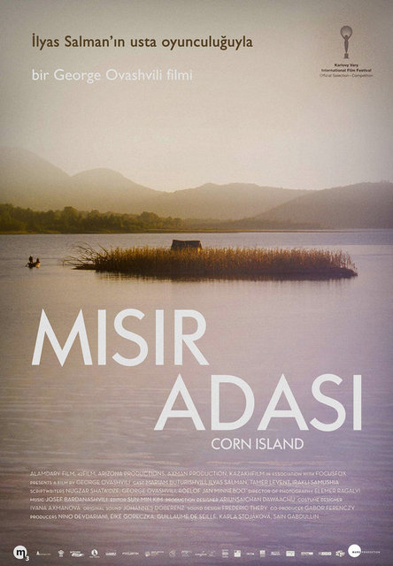   - 13-Mısır Adası (Simindis Kundzuli) (2014): Gürcü-Abhaz sorununu soyut bir sinema diliyle, ufak bir kara parçası üzerinden yorumluyor. Sadece Tarkovsky'yi aratmayan sinematografisi ve İlyas Salman'ın performansı ile bile zihinlerde yer edecek. -  