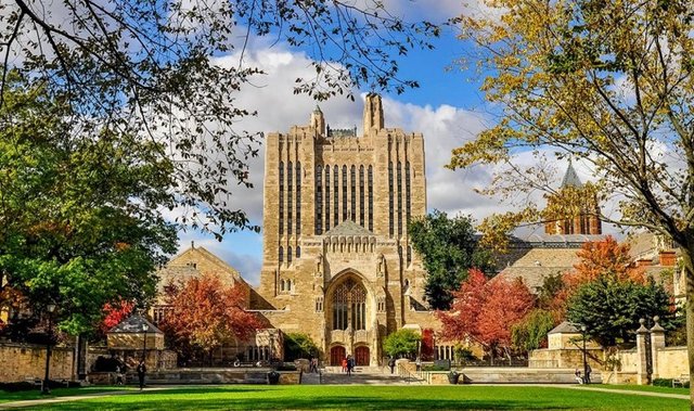 20. Yale Üniversitesi