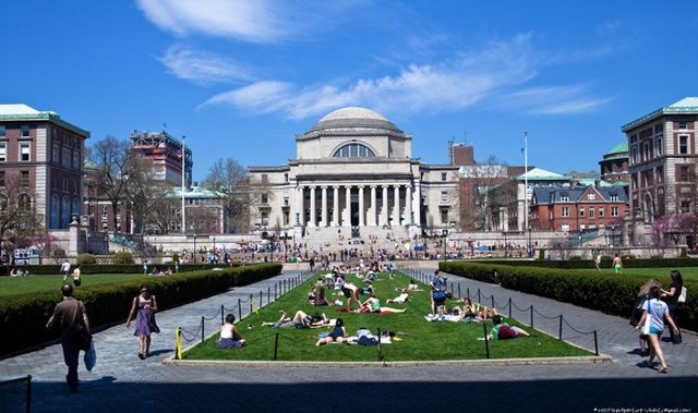 14. Columbia New York Üniversitesi