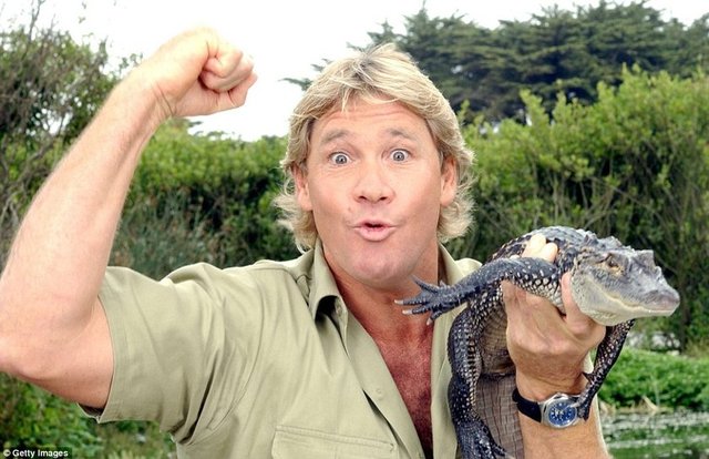 Ülkemizde de programları yayınlanan Avustralyalı belgeselci Steve Irwin bir vatoz saldırısı sonucu 2006 yılında hayatını kaybetmişti.