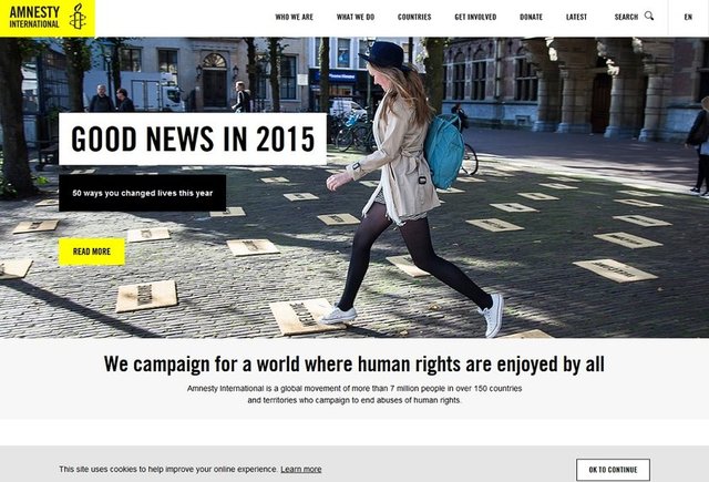 İnsan Hakları Organizasyonu'nun web sitesi günümüzde böyle görünüyor.