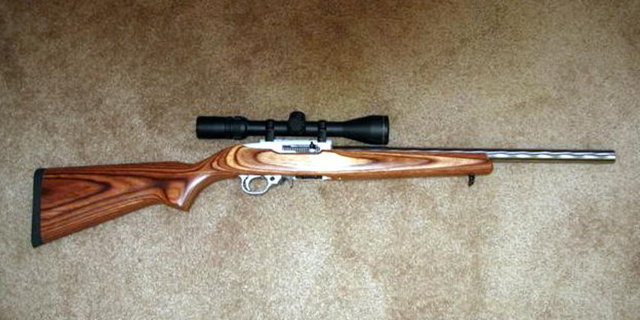 Ruger 10/22