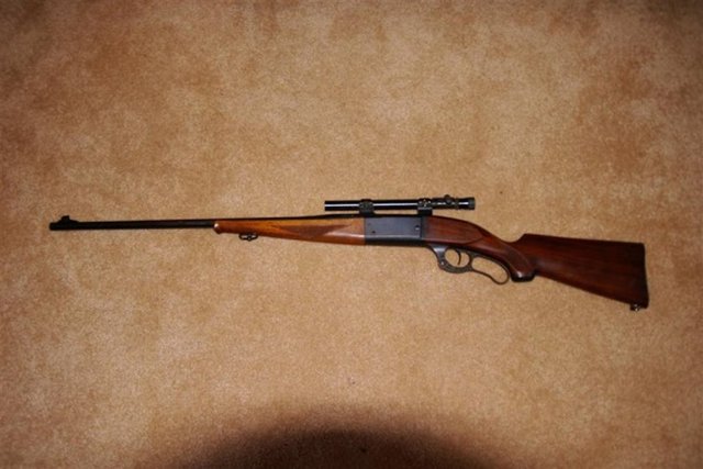Savage Model 99