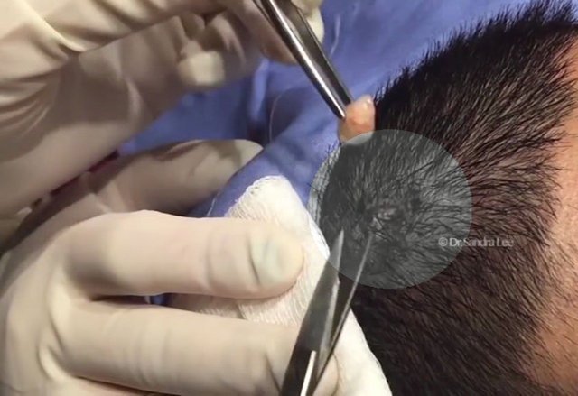 YouTube'a yüklenen bu video şimdiye dek 600 bin kişi tarafından izlendi.