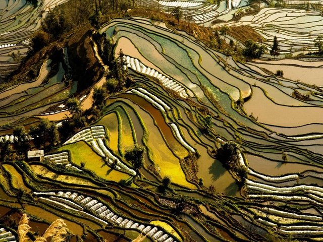 Yunnan, Çin  -  