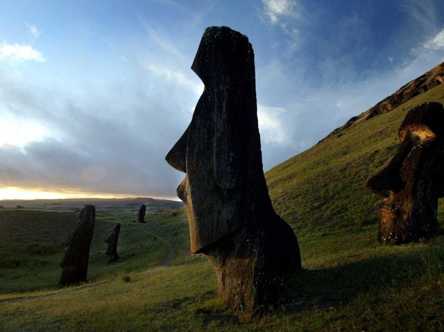 Moai heykelleri Paskalya Adası  -  