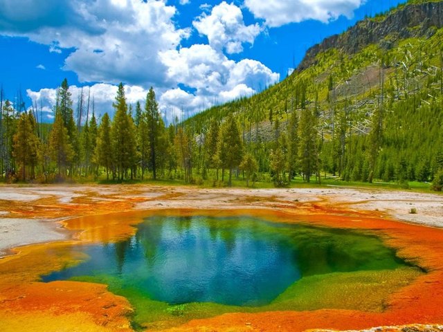 Yellowstone Milli Parkı  -  