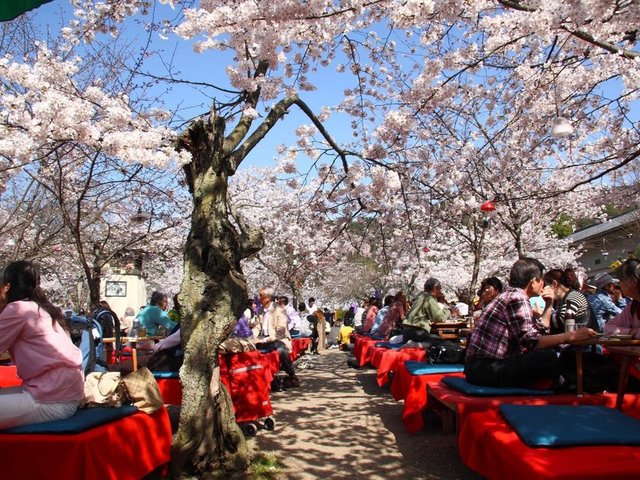 Kyoto, Japonya. 