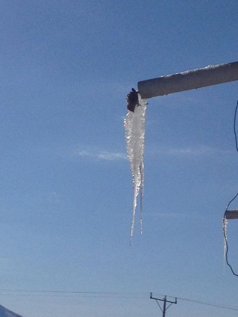 Köydeki bir evin damında bulunan oluktan akan sudan içmek isteyen bir serçenin, su ile birlikte donması, görenleri üzüntüye boğdu. -   -   -  