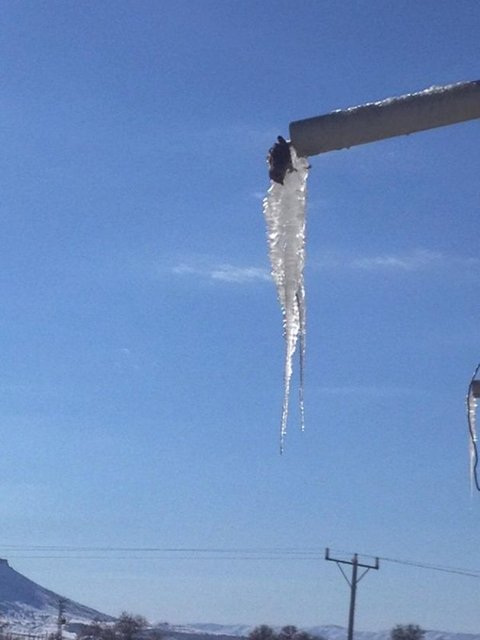 Serçenin içmek istediği suyla birlikte donmuş fotoğrafını cep telefonuyla çeken Şeyhmus Şan, bunu da yaban hayvanları ve kuşlar için dışarıya yem ve su bırakmaları konusunda insanları etkileyeceğini düşündüğü için çektiğini söyledi. -   -  