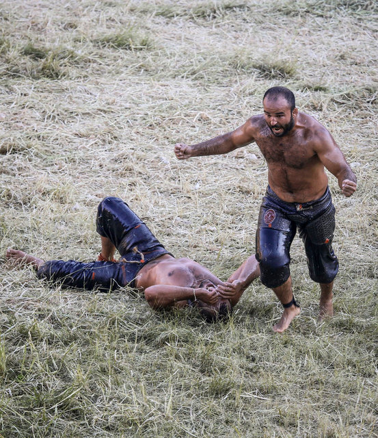 654.Tarihi Kırkpınar Yağlı Güreşleri final müsabakasında, rakibi Osman Aynur'u yenen Orhan Okulu başpehlivan oldu.