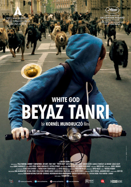 7-Beyaz Tanrı (Féher Isten) (2014): Kornél Mundruczó'nun önceki işlerinin rahatsız edici ve minimalist taraflarını törpüledi. Etkileyici finaline karşın, yönetmenin ilk dört eserinin yanında Disneyland yolculuğu gibi kalıyordu. -  