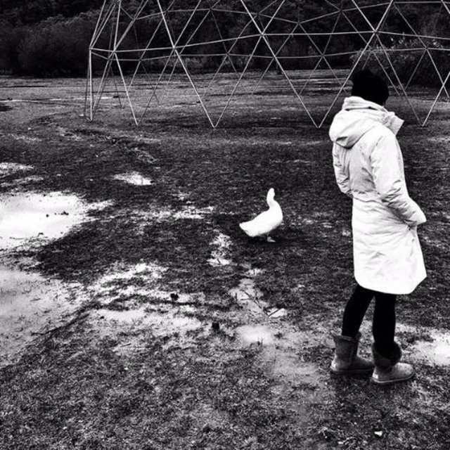 SILA GENÇOĞLUResette sınır yok.