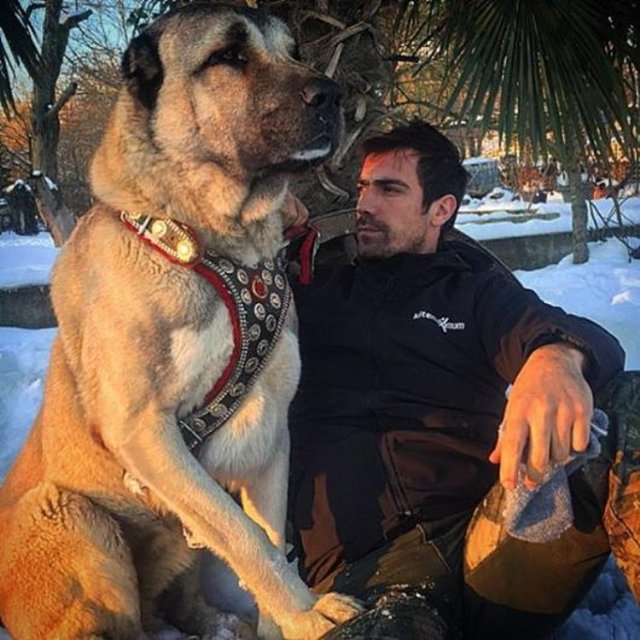 İBRAHİM ÇELİKKOL