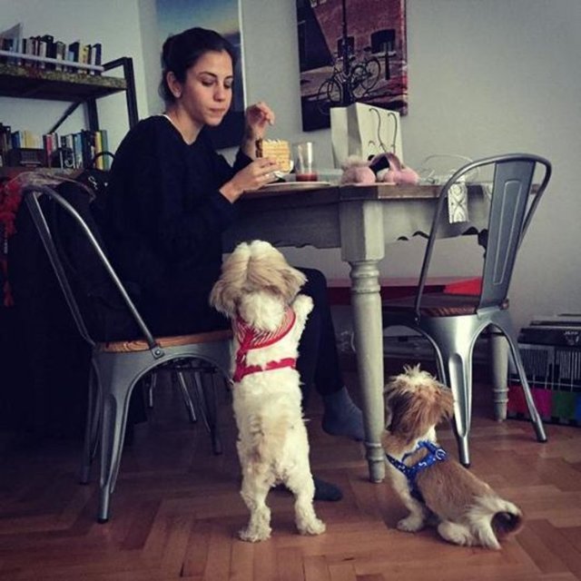 BİROL NAMOĞLUBiri yer ikisi bakar.