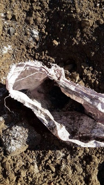 Operasyonları gece gündüz sürdüren güvenlik güçleri, sivil kayıpların yaşanmaması için hassasiyetiyle hareket ediyor. -  